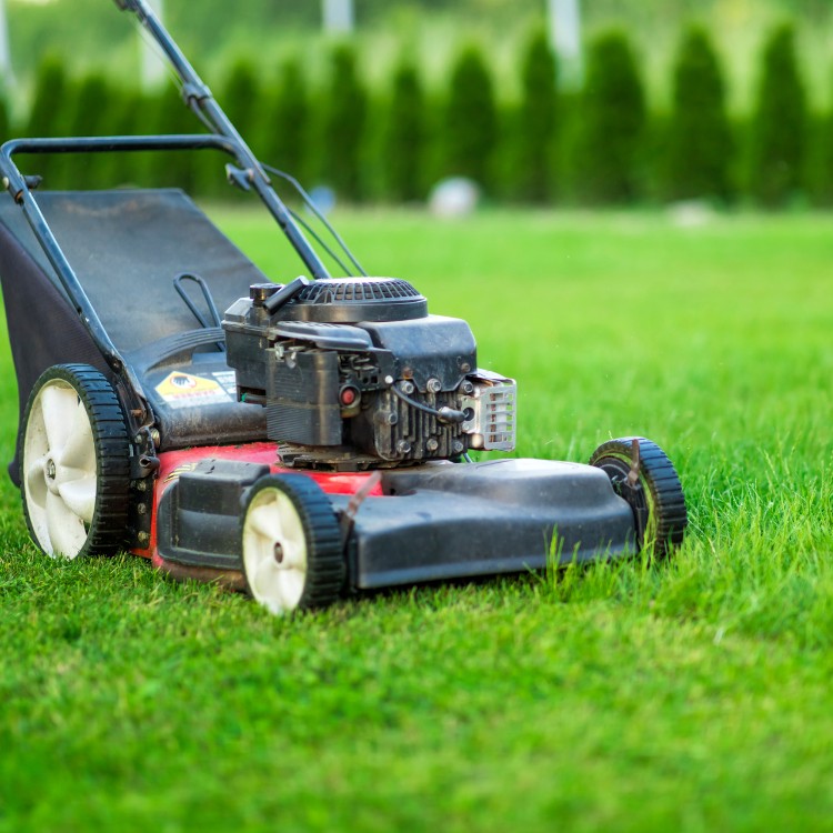 Landscaping in Sterling, VA