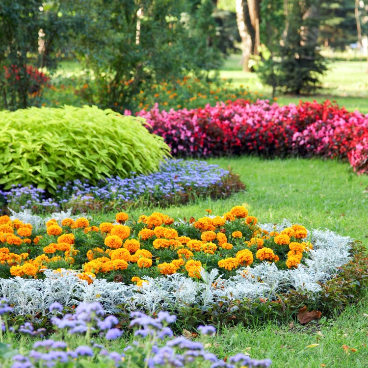 Landscaping in Sterling, VA