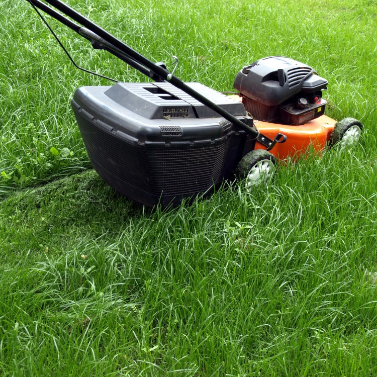 Landscaping in Sterling, VA