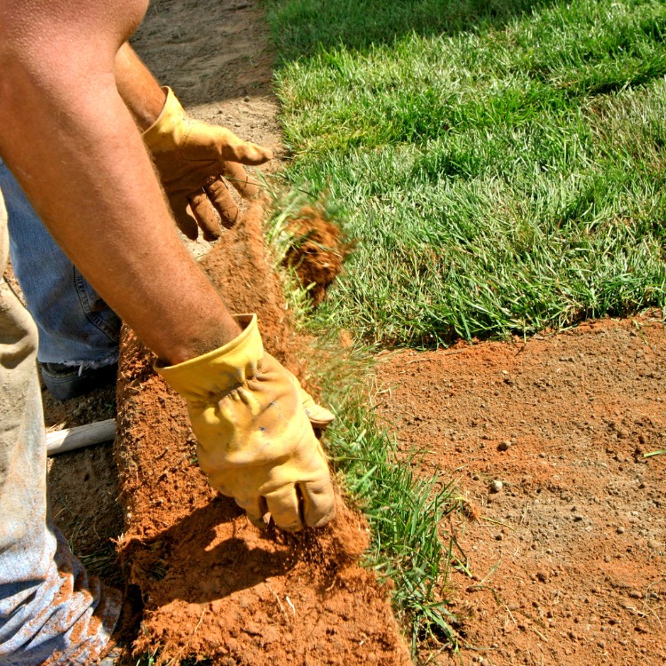 Landscaping in Sterling, VA