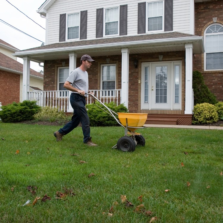 Landscaping in Sterling, VA