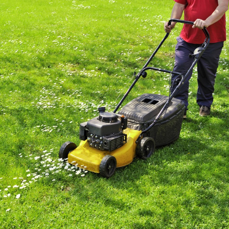 Landscaping in Sterling, VA